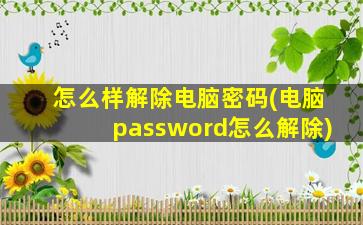 怎么样解除电脑密码(电脑password怎么解除)