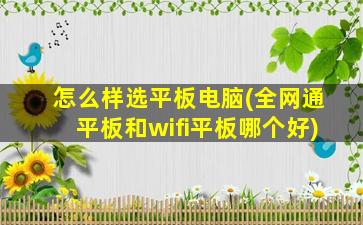 怎么样选平板电脑(全网通平板和wifi平板哪个好)