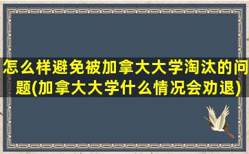 怎么样避免被加拿大大学淘汰的问题(加拿大大学什么情况会劝退)