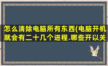 怎么清除电脑所有东西(电脑开机就会有二十几个进程.哪些开以关掉呢怎样才能永久删除)