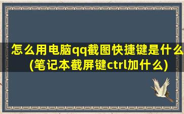 怎么用电脑qq截图快捷键是什么(笔记本截屏键ctrl加什么)