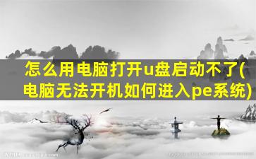 怎么用电脑打开u盘启动不了(电脑无法开机如何进入pe系统)