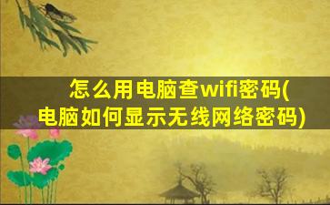 怎么用电脑查wifi密码(电脑如何显示无线网络密码)