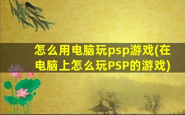 怎么用电脑玩psp游戏(在电脑上怎么玩PSP的游戏)