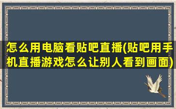 怎么用电脑看贴吧直播(贴吧用手机直播游戏怎么让别人看到画面)