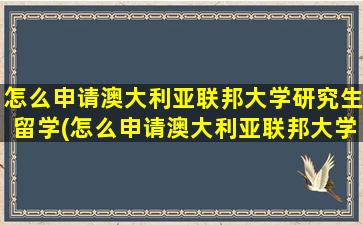 怎么申请澳大利亚联邦大学研究生留学(怎么申请澳大利亚联邦大学研究生专业)