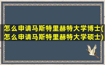 怎么申请马斯特里赫特大学博士(怎么申请马斯特里赫特大学硕士)