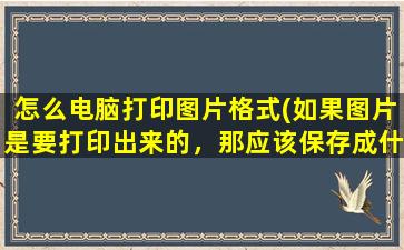 怎么电脑打印图片格式(如果图片是要打印出来的，那应该保存成什么格式的)