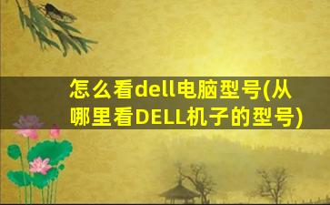 怎么看dell电脑型号(从哪里看DELL机子的型号)