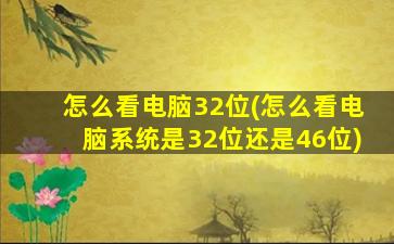 怎么看电脑32位(怎么看电脑系统是32位还是46位)