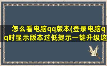 怎么看电脑qq版本(登录电脑qq时显示版本过低提示一键升级这样操作可以吗)