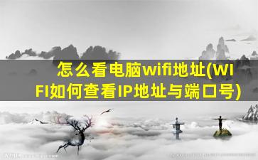 怎么看电脑wifi地址(WIFI如何查看IP地址与端口号)