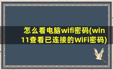 怎么看电脑wifi密码(win11查看已连接的WiFi密码)