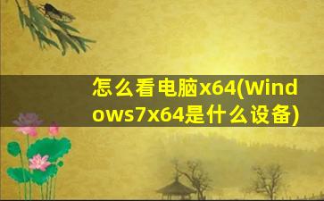 怎么看电脑x64(Windows7x64是什么设备)