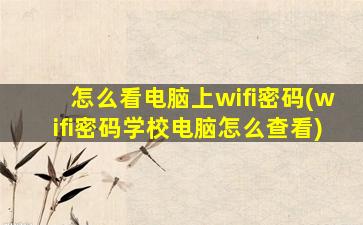 怎么看电脑上wifi密码(wifi密码学校电脑怎么查看)