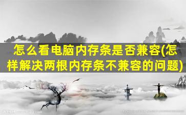 怎么看电脑内存条是否兼容(怎样解决两根内存条不兼容的问题)