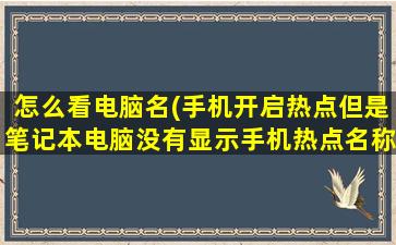 怎么看电脑名(手机开启热点但是笔记本电脑没有显示手机热点名称怎么调试谢谢)