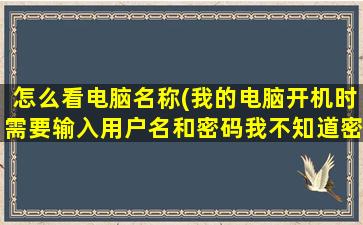 怎么看电脑名称(我的电脑开机时需要输入用户名和密码我不知道密码是多少怎么办)