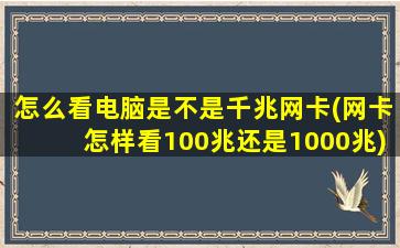 怎么看电脑是不是千兆网卡(网卡怎样看100兆还是1000兆)