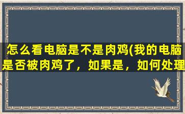 怎么看电脑是不是肉鸡(我的电脑是否被肉鸡了，如果是，如何处理)