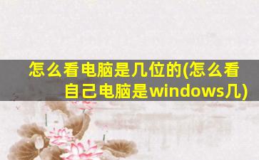 怎么看电脑是几位的(怎么看自己电脑是windows几)