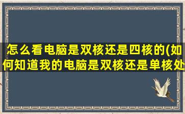 怎么看电脑是双核还是四核的(如何知道我的电脑是双核还是单核处理器)