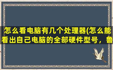 怎么看电脑有几个处理器(怎么能看出自己电脑的全部硬件型号，鲁大师硬件检测看不到电源型号)