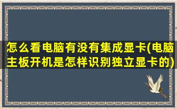 怎么看电脑有没有集成显卡(电脑主板开机是怎样识别独立显卡的)