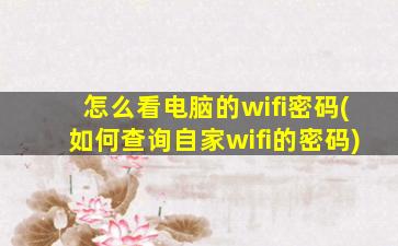 怎么看电脑的wifi密码(如何查询自家wifi的密码)