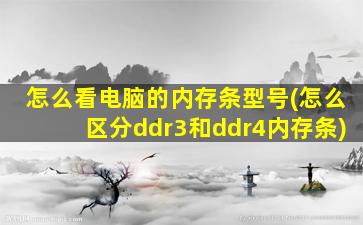 怎么看电脑的内存条型号(怎么区分ddr3和ddr4内存条)