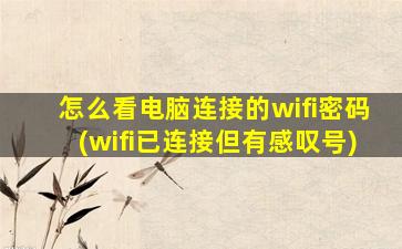 怎么看电脑连接的wifi密码(wifi已连接但有感叹号)