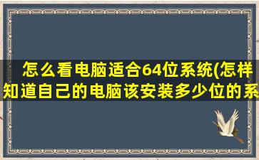 怎么看电脑适合64位系统(怎样知道自己的电脑该安装多少位的系统)