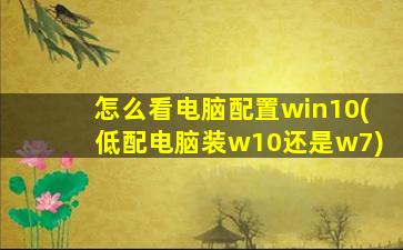 怎么看电脑配置win10(低配电脑装w10还是w7)