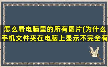 怎么看电脑里的所有图片(为什么手机文件夹在电脑上显示不完全有一部分，但是图片等一些文件都找不到，手机上能看到)