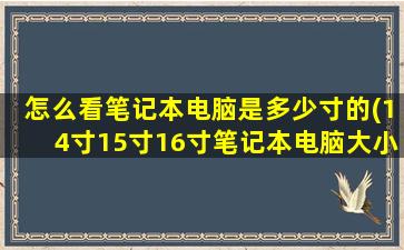 怎么看笔记本电脑是多少寸的(14寸15寸16寸笔记本电脑大小)