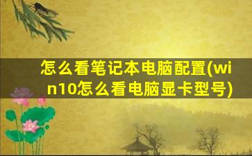 怎么看笔记本电脑配置(win10怎么看电脑显卡型号)