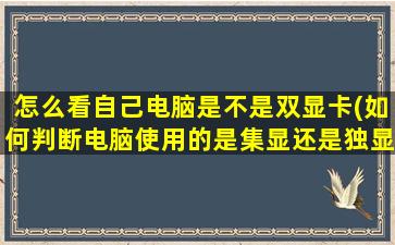 怎么看自己电脑是不是双显卡(如何判断电脑使用的是集显还是独显)