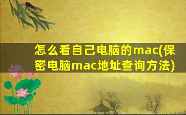 怎么看自己电脑的mac(保密电脑mac地址查询方法)