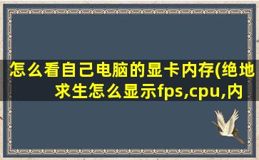 怎么看自己电脑的显卡内存(绝地求生怎么显示fps,cpu,内存,显卡信息)