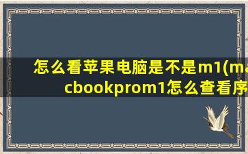 怎么看苹果电脑是不是m1(macbookprom1怎么查看序列号)