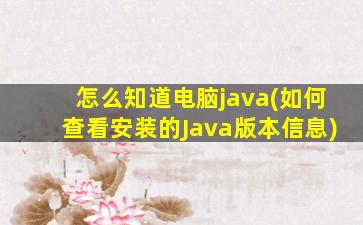 怎么知道电脑java(如何查看安装的Java版本信息)