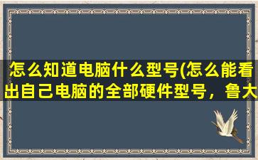 怎么知道电脑什么型号(怎么能看出自己电脑的全部硬件型号，鲁大师硬件检测看不到电源型号)