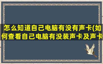 怎么知道自己电脑有没有声卡(如何查看自己电脑有没装声卡及声卡驱动)