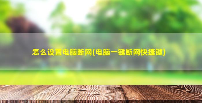 怎么设置电脑断网(电脑一键断网快捷键)