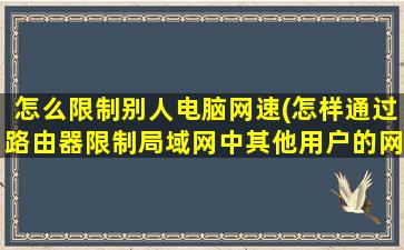 怎么限制别人电脑网速(怎样通过路由器限制局域网中其他用户的网速)