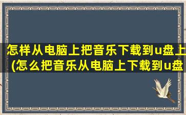 怎样从电脑上把音乐下载到u盘上(怎么把音乐从电脑上下载到u盘)