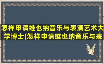 怎样申请维也纳音乐与表演艺术大学博士(怎样申请维也纳音乐与表演艺术大学专业)