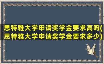 思特雅大学申请奖学金要求高吗(思特雅大学申请奖学金要求多少)