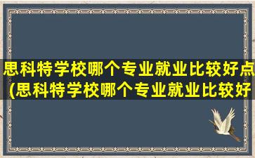 思科特学校哪个专业就业比较好点(思科特学校哪个专业就业比较好呢)