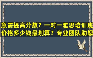 急需提高分数？一对一雅思培训班价格多少钱最划算？专业团队助您轻松突破！